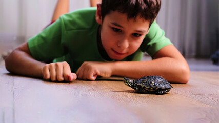 A young boy lies on the floor, intently watching a small turtle as it moves slowly. This image captures a moment of fascination and connection between a child and nature.