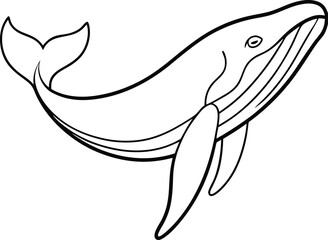 Humpback Whale line art vector. humpback whale outline illustration design. Whale linear sketch drawing isolated on white background.