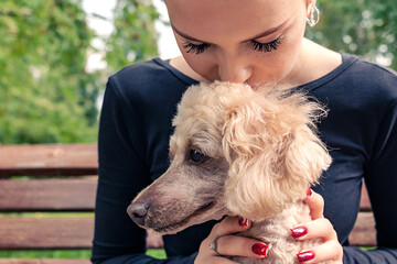 A girl kisses her poodle on the head.