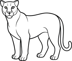 lion line art graphic design resource. Mountain Lion outline illustration. Vector line drawing black and white design.