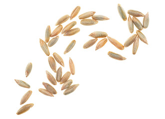 Rye grains isolated on a white background, top view. Organic seeds.