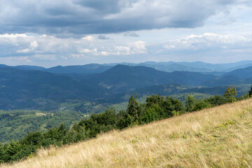 Mountains ranges Carpathian. Hill forest and meadows valley in summer outdoor