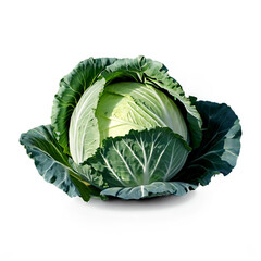 Obraz premium A Cabbage isolated on transparent background