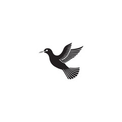 Seagul bird logo icon vector