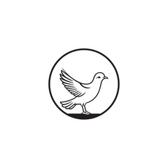 Seagul bird logo icon vector