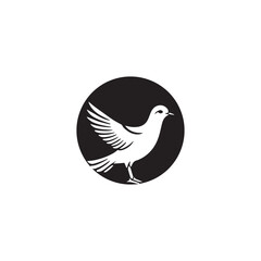 Seagul bird logo icon vector