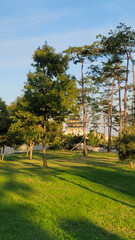 Beautiful Garden in Gyeongbokgung Palace, with blue sky on a sunny day, in Seoul, Korea