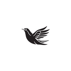 Seagul bird logo icon vector