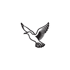 Seagul bird logo icon vector