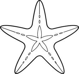 Starfish vector art and line art illustration design. Starfish outline doodle drawing, isolated on white background.