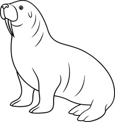 Walrus outline vector art and line art illustration design. One line drawing illustration of ocean seal. Marine mammal animal concept continuous line art. Walrus Outline Icon, Vector illustration.