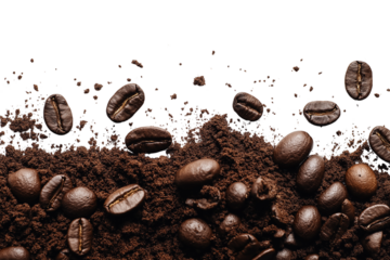 Coffee powder mix bean template isolate on white background, png die cut transparent.