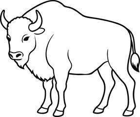Bison outline vector. Line art illustration design. Bison design by artwork. Bison linear vector icon. Animal drawing, beast, icon and logo, image on a white background.