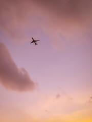 airplane in the sky