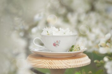 Frühling in der Luft