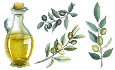 Set of elements for the design of olive products. Olive sprigs, olive oil. Oils, green sprigs, oil in a glass bottle. Watercolor isolated illustration