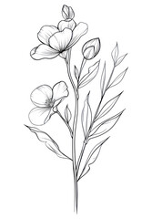 Obraz premium PNG Line art hande with flower drawing sketch plant.