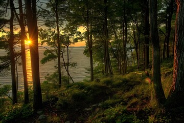 Fototapeta premium Serene Sunset Through the Trees by the Water's Edge