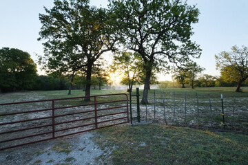 Gate entrance to pasture field in spring season sunrise of Texas farm countryside scene.