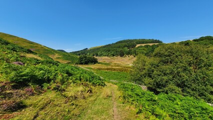 Green English countryside 