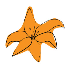 Outline drawing of a orange Lily in minimalist style with color spots