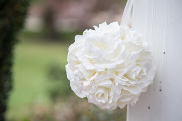 white rose in a garden