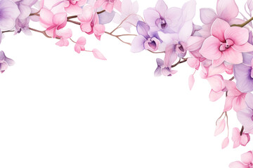 Fototapeta premium PNG Orchid border frame blossom flower petal.