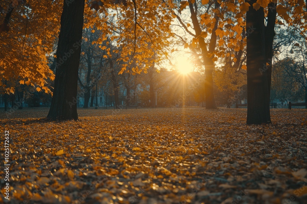 Aufkleber a sunny day with sunlight filtering through tree branches in a public park