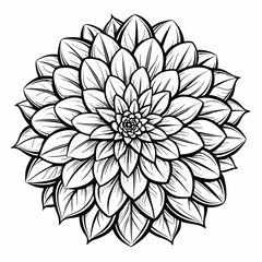 Dahlia flower item vector design illustration sample item concept idea on white background for coloring page