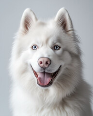  Close-up photograph of a dog isolated on a white background.