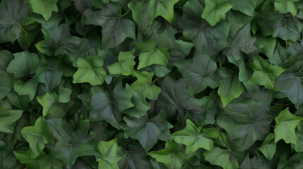 Fototapeta premium Lush green ivy leaves densely covering a surface, symbolizing nature, growth, and lush vegetation.