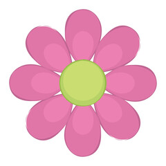 Pink flower with green center on white background, vector illustration