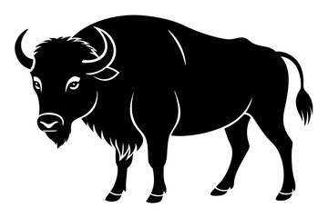 black and white bull