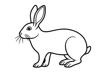 illustration of a rabbit