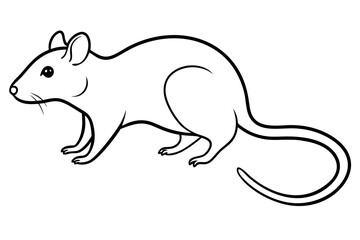 illustration of a squirrel