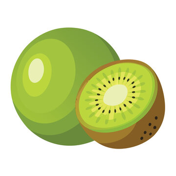 green kiwi fruit whole and sliced clip art preview