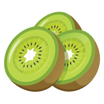 recommend clip art: kiwi fruit Vector Illustration isolated on white background