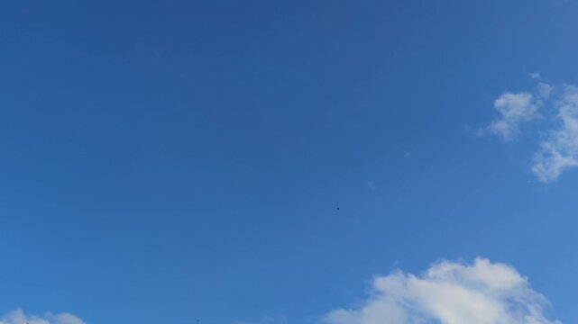 White clouds are flying across the sky. Cumulus clouds are slowly floating against the light blue sky, they are at different heights. You can see the sky through the clouds. The clouds are changing th