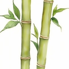 Obraz premium Watercolor Illustration of Bamboo Stalks and Leaves