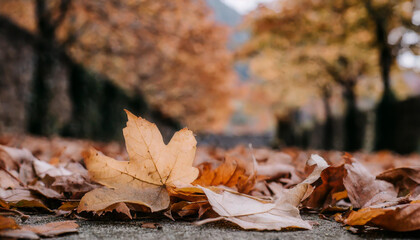 Golden autumn leaves carpet a serene path in a tranquil forest setting surrounded by vibrant trees