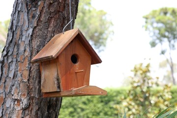 Beautiful wooden birdhouse hanging on tree trunk in park