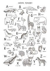Animals alphabet set. Hand drawn vector line illustration. Isolated on white background.