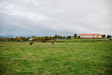 Solonceni village in the Rezina district of the Republic of Moldova