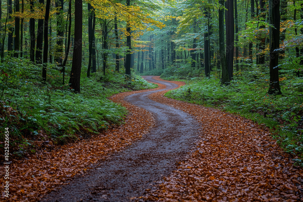 Poster a single path winding through an empty forest, representing life's journey and choices. concept of m