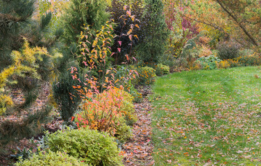 A beautiful part of the garden with many different colors along the lawn, a wonderful early autumn view of plants, flowers and trees, fallen leaves on the ground and in the grass.