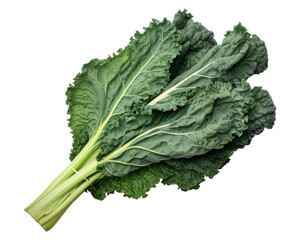 PNG Kale vegetable plant food.