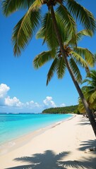 Obraz premium A tropical paradise unfolds on a summer day pristine sandy beaches turquoise waters and towering palm trees