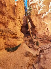 bryce canyon panorama at noon, from the high pathway, downward the cliff path