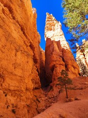 bryce canyon panorama at noon, from the high pathway, downward the cliff path
