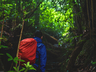 Male tourist in a hard-shell rain jacket walks up a misty jungle trail in the rain. Poco dos Pulgas...